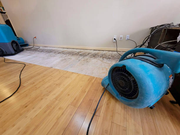 Professional Structural Drying technician working in Walbridge, OH